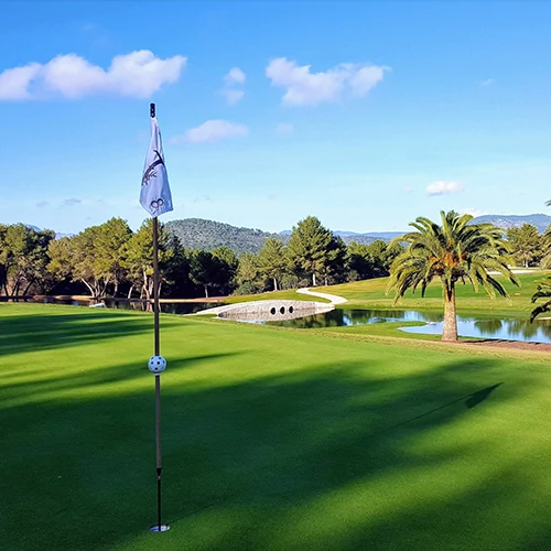 Golftransfers